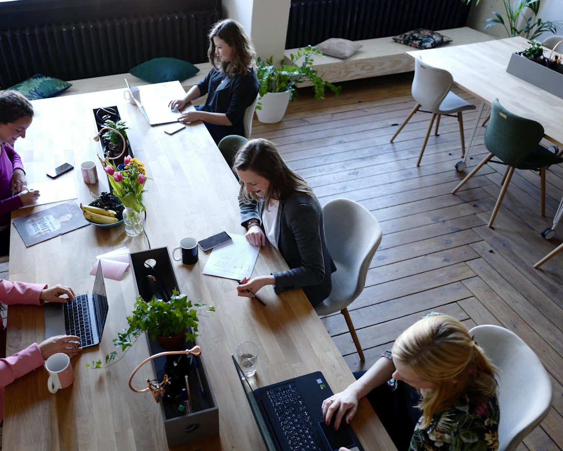 Members working around a long shared table with plants and laptops, seen from above.